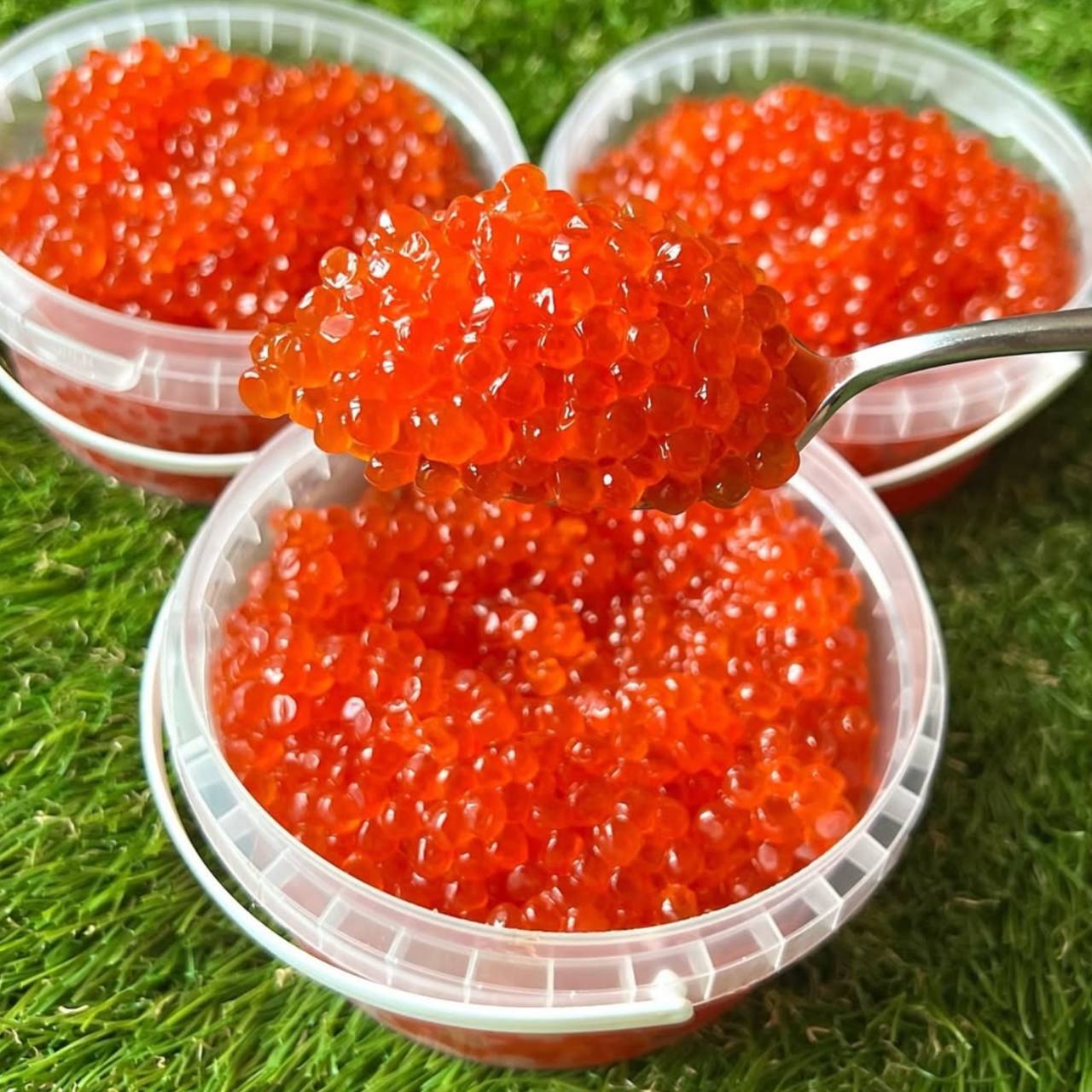 Икра Кеты
